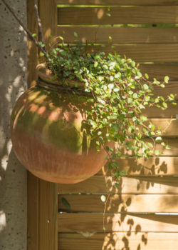 Terracotta Babylon Hanging Pot 19cm